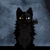 astra.star_offical