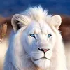 whitelion111