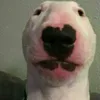 cmentiran