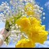 user4840817319432