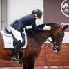 lysenkova_dressage.ua