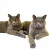 doublecatitude