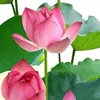 lin.lin11807