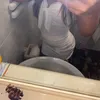 _.ggiulia._1