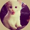 wnzz.pleasure_