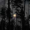 catlxverz08