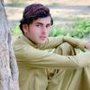 fidawaxir22