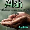 fatmaali7611