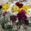 belgin_3434