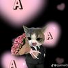 ayayadanarphoye77