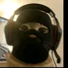 ellenyseqoq
