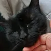 _catw0man3_