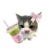 strawberrymatcha1281