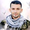 jenin282