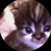 random._.postscats