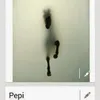 pepiaseguinolaza