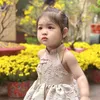 chitchit151122