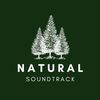 naturalsoundtrack