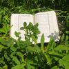 قرآن  / Quran