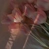 ece.blume