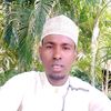 ismailmalaria2017