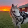 smilla_vigren