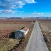 vadim_zone