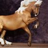 Breyer Trot