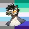 adhd_foxy
