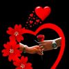 user2496088686369