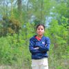 dilmayaluteli