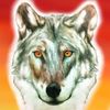 wolf.paq.radio
