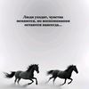 car_kazakhtan07
