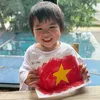 auvietmy2023