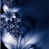 caleb_s0816