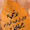 user52681478537327