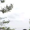 _ell..0