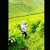 iyaud4hmaaf