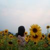 nan.shwe.zin.win0
