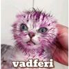 vadferi