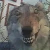 sdfgk41
