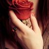 user4501023403660
