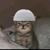 jackyjacky3367
