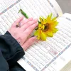 fatema.493
