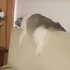 minchuya_88