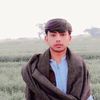 user194162474