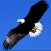 www.tiktok.th_39