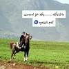 7amaaaa94