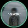 ckchamo8