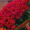 user9863739668183
